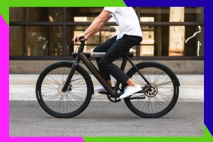 BirdBike eBike (A-Frame/Gray) surrounded by a colorful border