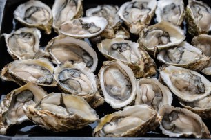 A woman devoured four dozen oysters on a date that was supposed to just include casual drinks.