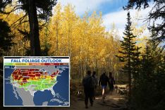 Fall foliage tracker: Discover where the most brilliant autumn colors are right now