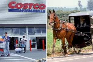 Costco store and an Amish horse and buggy