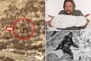 A couple on a romantic break in Colorado claims to have captured the mythological creature Bigfoot on camera, wandering on the side of a mountain before sitting down to rest — all in broad daylight.