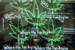 New York’s road to rational legal weed sales grows ever more dazed and confused