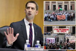 Tom Cotton, pro-Palestinian protesters